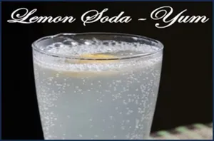 Fresh Lime Soda
