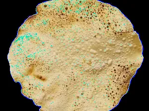 Roasted Papad