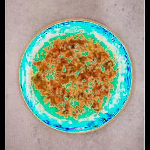 Masala Papad