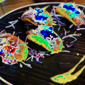Special Tacos