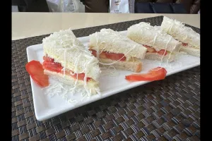 Cheese Tomato Sandwich